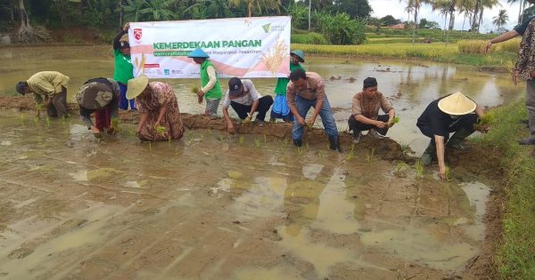 Dompet Dhuafa siapakan lahan pertanian/Dok. DD