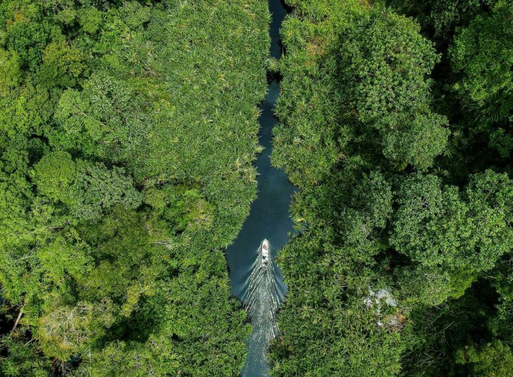 Keterlibatan Multi Pihak Diperlukan dalam Mengelola Gambut