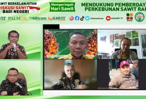 Kesuksesan Peremajaan Sawit Rakyat Butuh Dukungan Multistakeholder ...